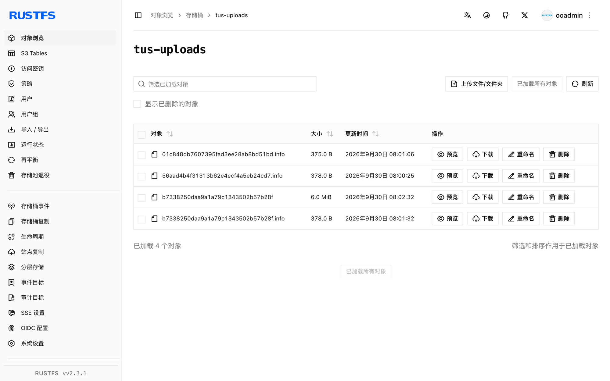 存储在 RustFS 控制台中的 tus 上传